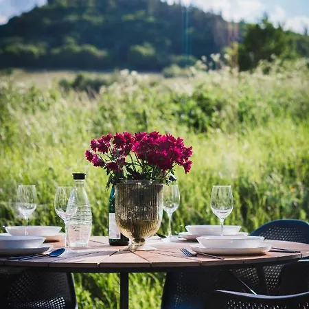 Velo & Wohnen -neu- Elektroraeder Inklusive - Sauna * Traben-Trarbach
